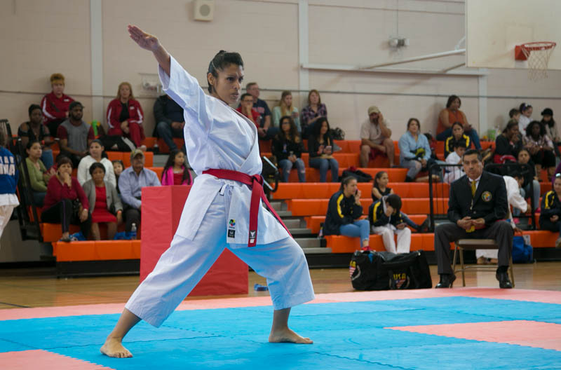 Houston Karate Open 2017 adult photos