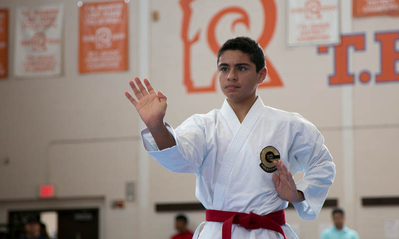 Houston Karate Open 2017 adult photos