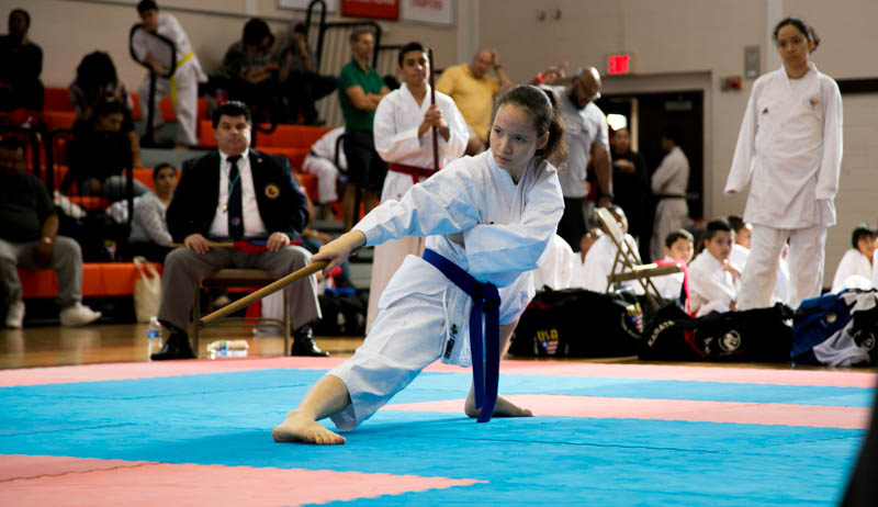 Houston Karate Open 2017 adult photos