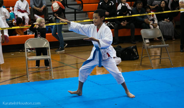 Houston Karate Open 2018 photos