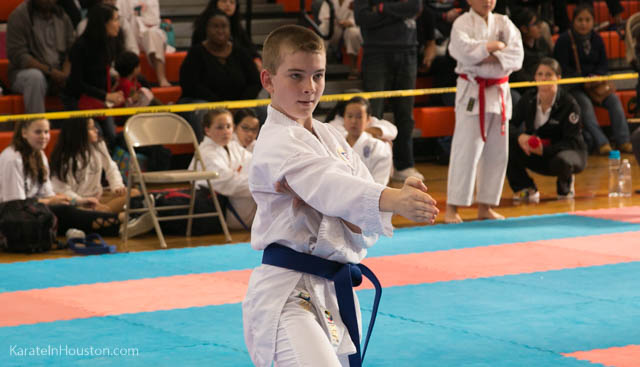 Houston Karate Open 2018 photos