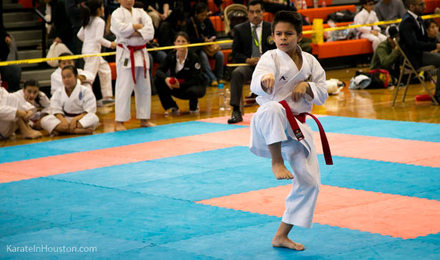 Houston Karate Open 2018 photos