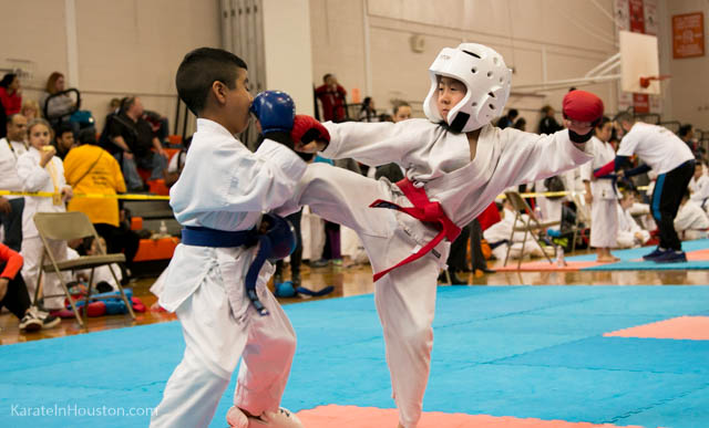 Houston Karate Open 2018 photos