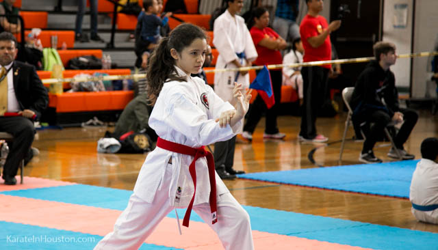 Houston Karate Open 2018 photos