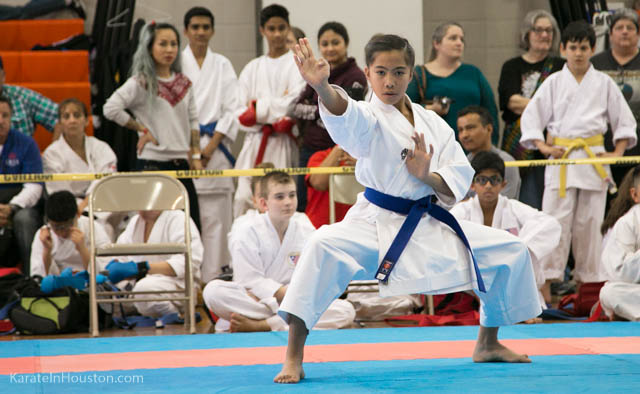 Houston Karate Open 2018 photos