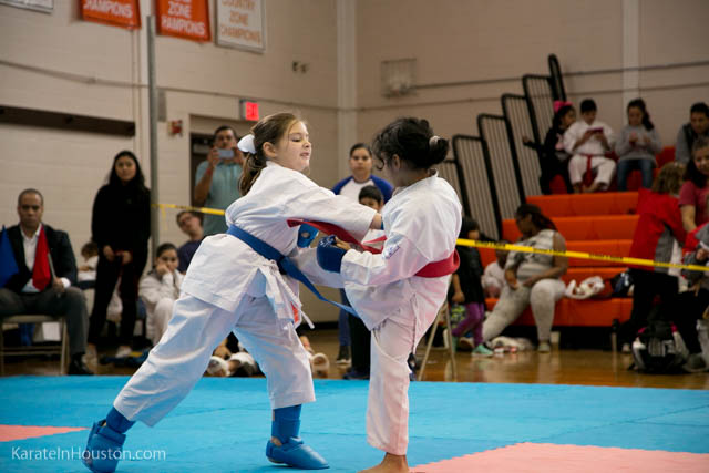 Houston Karate Open 2018 photos