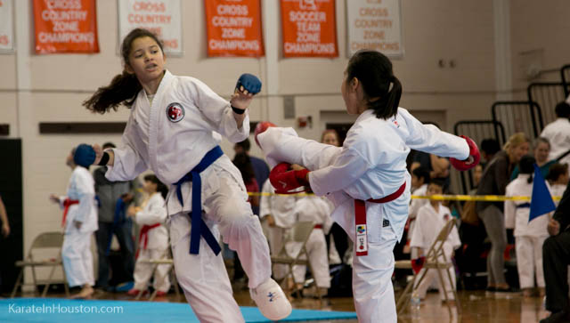 Houston Karate Open 2018 photos