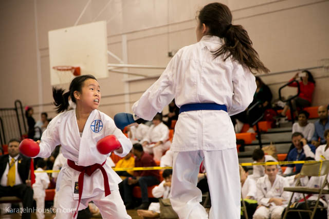 Houston Karate Open 2018 photos