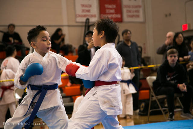 Houston Karate Open 2018 photos