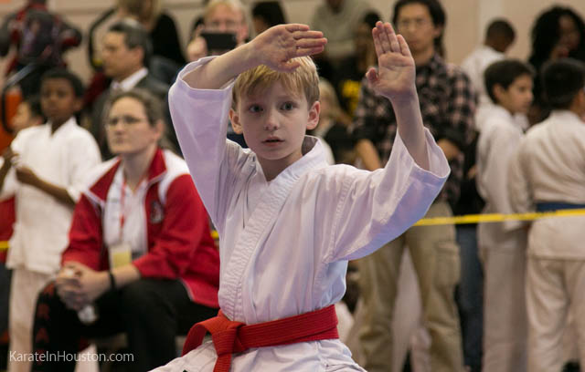 Houston Karate Open 2018 photos