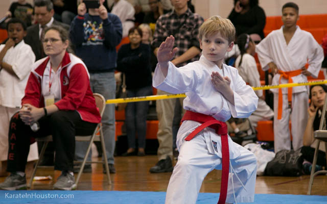 Houston Karate Open 2018 photos