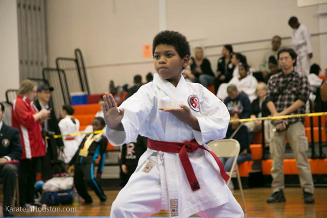 Houston Karate Open 2018 photos