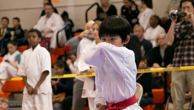 Houston Karate Open 2018 photos