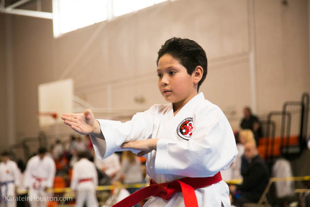 Houston Karate Open 2018 photos