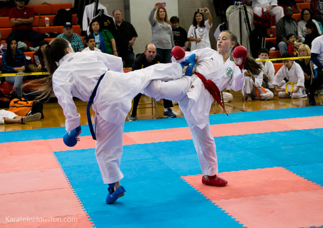 Houston Karate Open 2018 photos