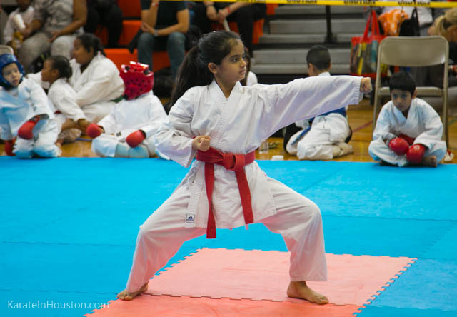 Houston Karate Open 2018 photos