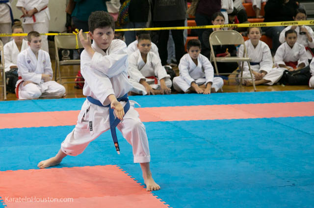 Houston Karate Open 2018 photos