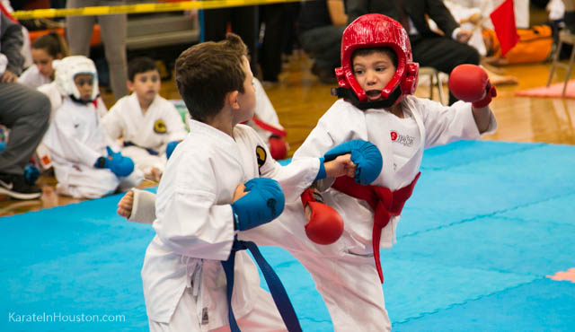 Houston Karate Open 2018 photos