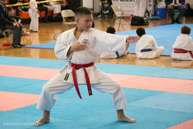 Houston Karate Open 2018 photos